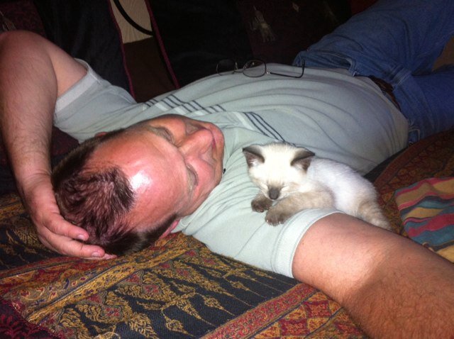 com_thebean's profile picture. 