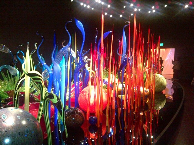 shainafern's profile picture. 