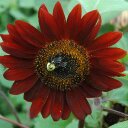 Dawn Collazo - @DLCollazo - Twitter