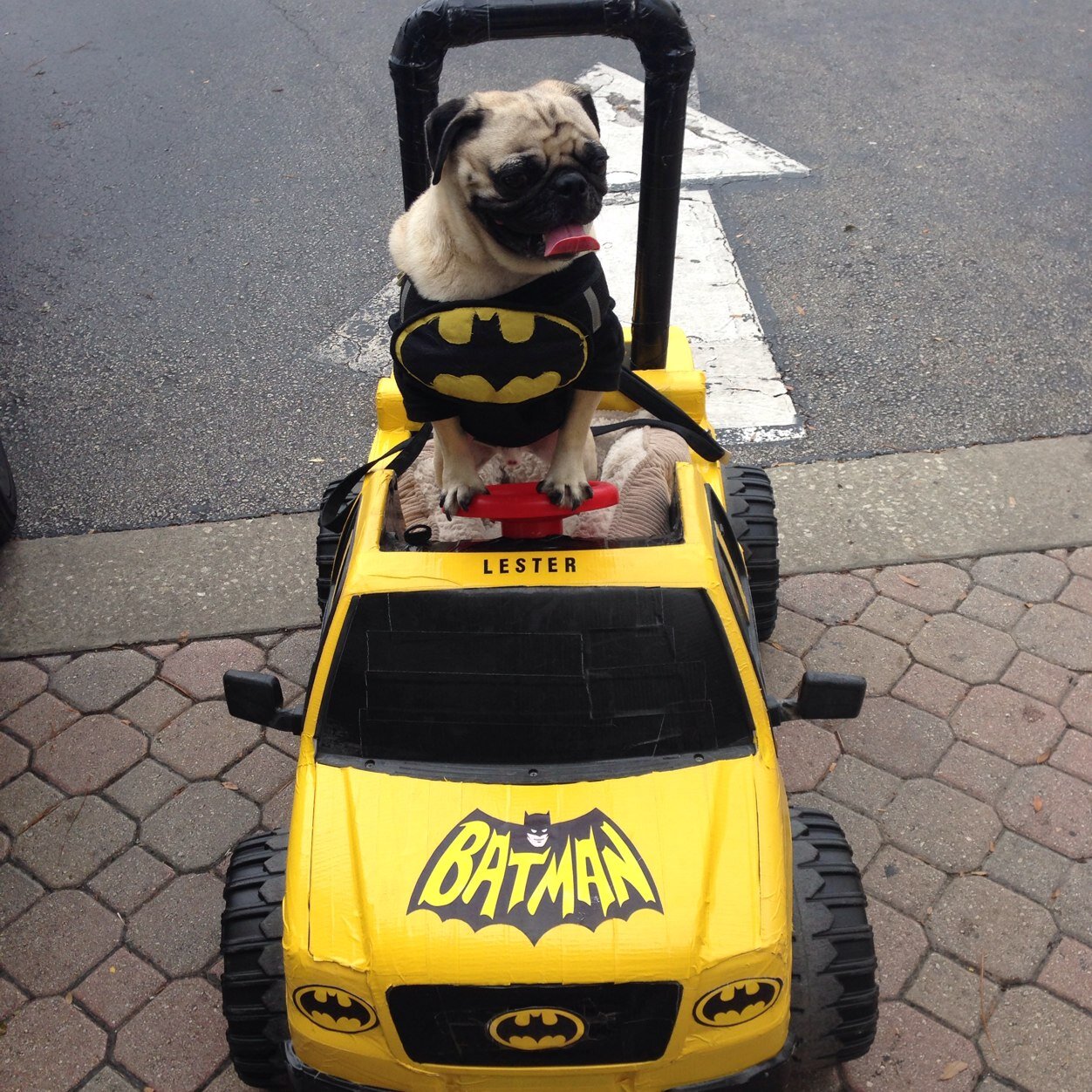 Stunnakid777's profile picture. If you are reading this and aren't following me, fuck you...Instagram: JimmyJ863