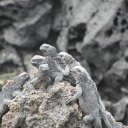 Jane Branson - @jebranso - Twitter