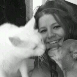 AStephenson89's profile picture. 