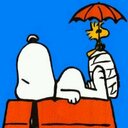 Barb Leach - @BarbLeach1 - Twitter