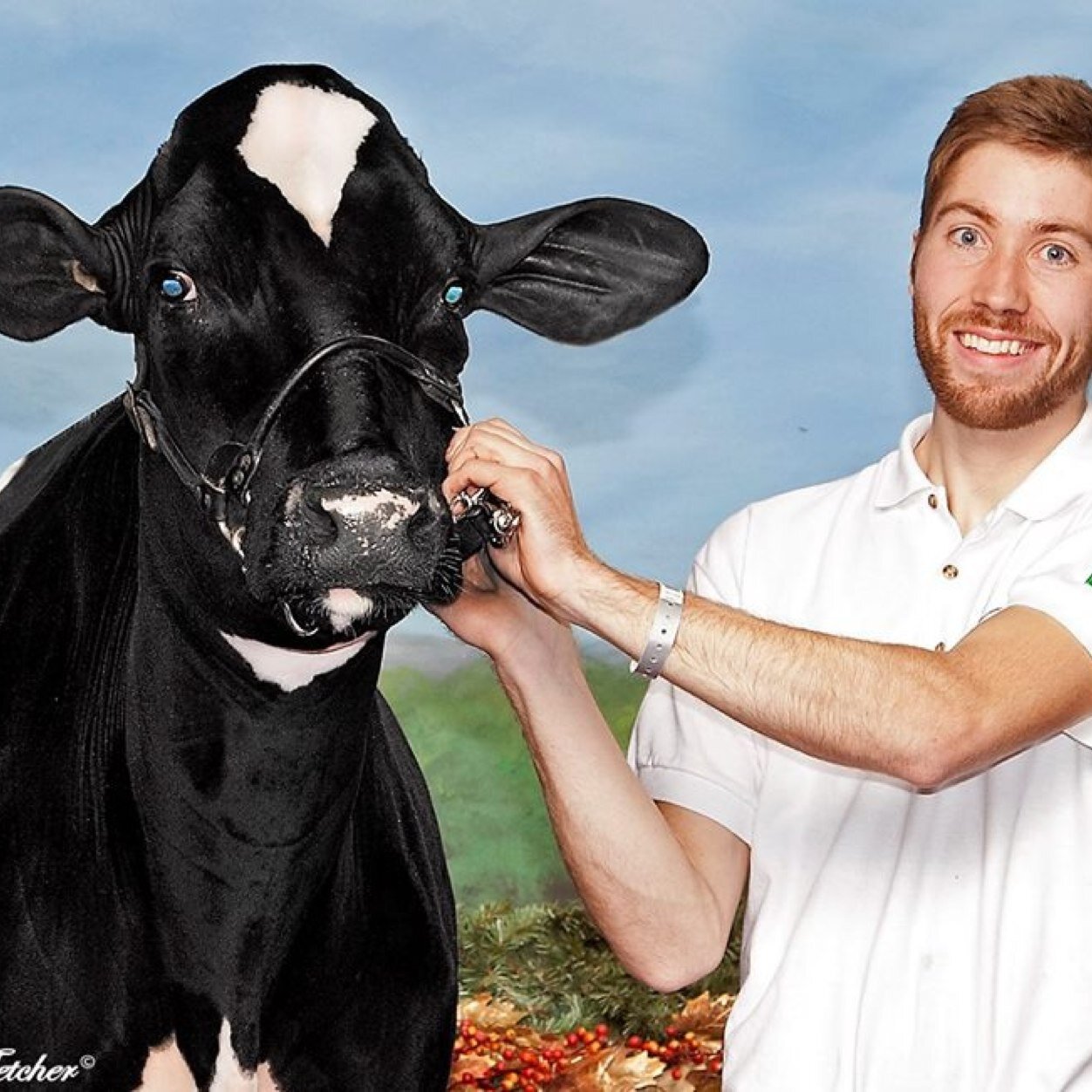 ParleeTyler's profile picture. Forestry and Agrifoods employee @FAA_GovNL @Valacta representative, agriculture advocate