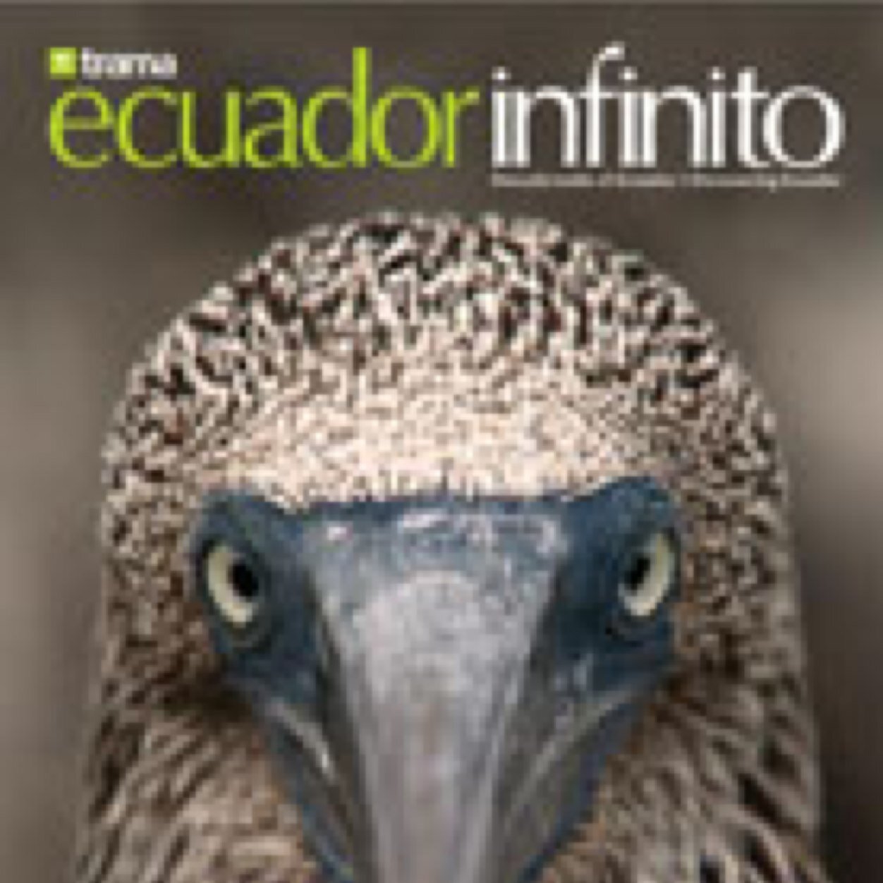 Descubriendo el Ecuador - Discovering Ecuador