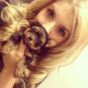 I'm is Kitkats, Directioner, Twihard, Hazza, and I like Joel Courtney, Chloe Moretz, and many more , and if you follow me, I follow back but do not Unfollow! :)