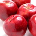 Maria Hertzog - @MariaHertzog - Twitter