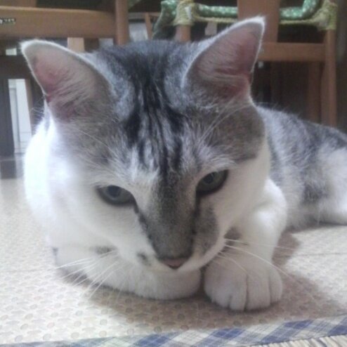 tagx05d25's profile picture. 数年前某パーティーーガナイズチーのスタッフで、