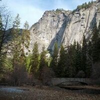 Clint Cario (@clintcario) 's Twitter Profile