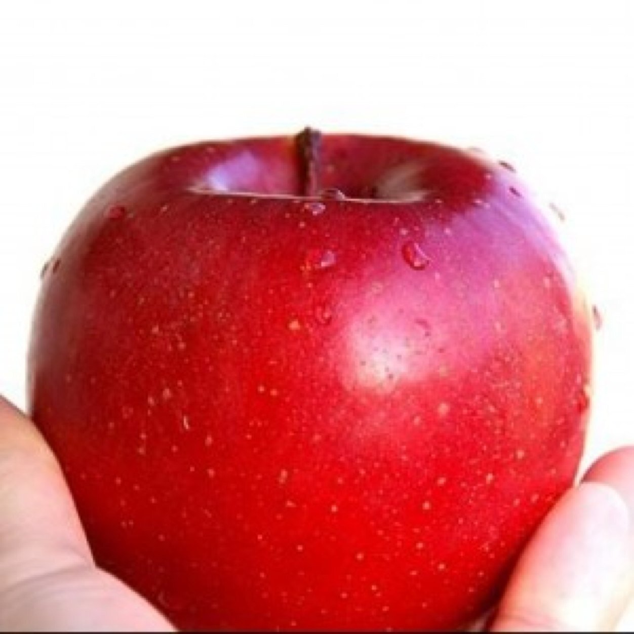 atsushi1973's profile picture. 映画、トレーニング好き。最近はトレーニングできてません(T_T)