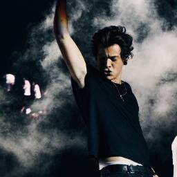 Free follow. So you should follow  @flannel_harryy SHE FOLLOWS BACK! Thanks, you are too kind! :)