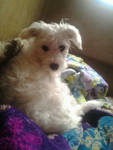 bama_nation205's profile picture. 