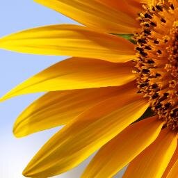 InnovaaTech's profile picture. Innova Tech is an established Solar Power Solutions and Software Development Company with a mission - Go Green | Be Innovative !!