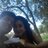 guslopi's profile image