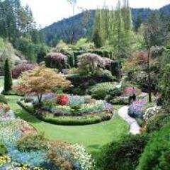 jeelanibhat39's profile picture. 