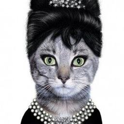 MyCatPlaysFetch's profile picture. Stressed is my middle name