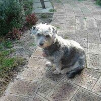 Helen Errington (@helenerrington1) 's Twitter Profile