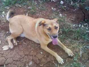 newtonnyaga's profile picture. 