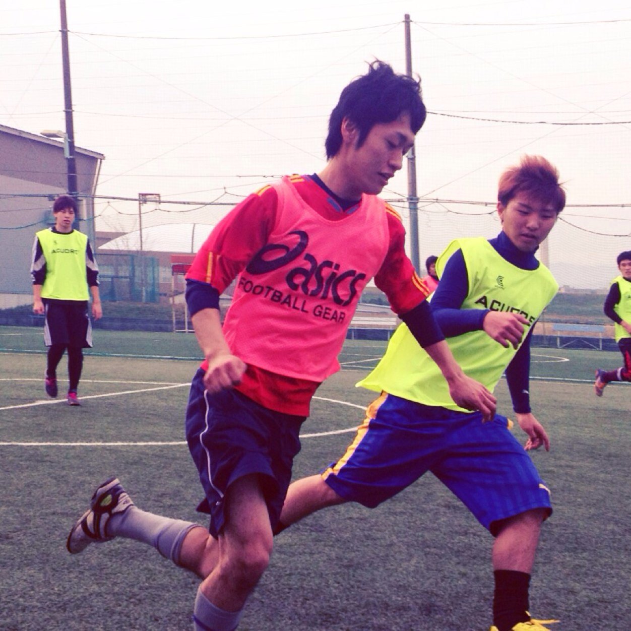 sseichan's profile picture. 