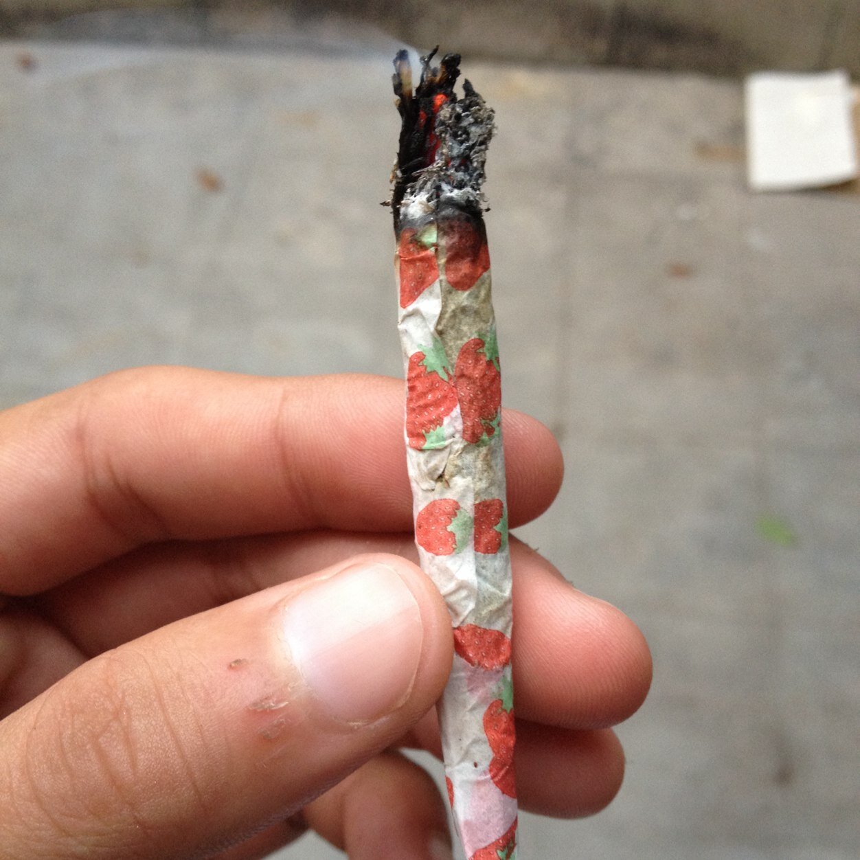 SMOKE_MARIHUANA's profile picture. Micabellocrececomomiweedflorece