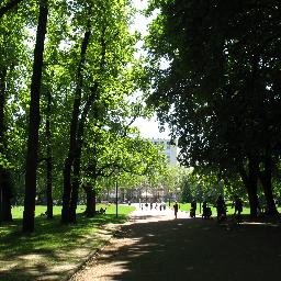 La musique chasse la haine chez ceux qui sont sans amour. Elle donne la paix à ceux qui sont sans repos, elle console ceux qui pleurent.