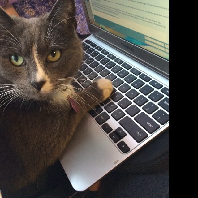 Writer. entertainment journalist, critic, wiseacre, grouch.