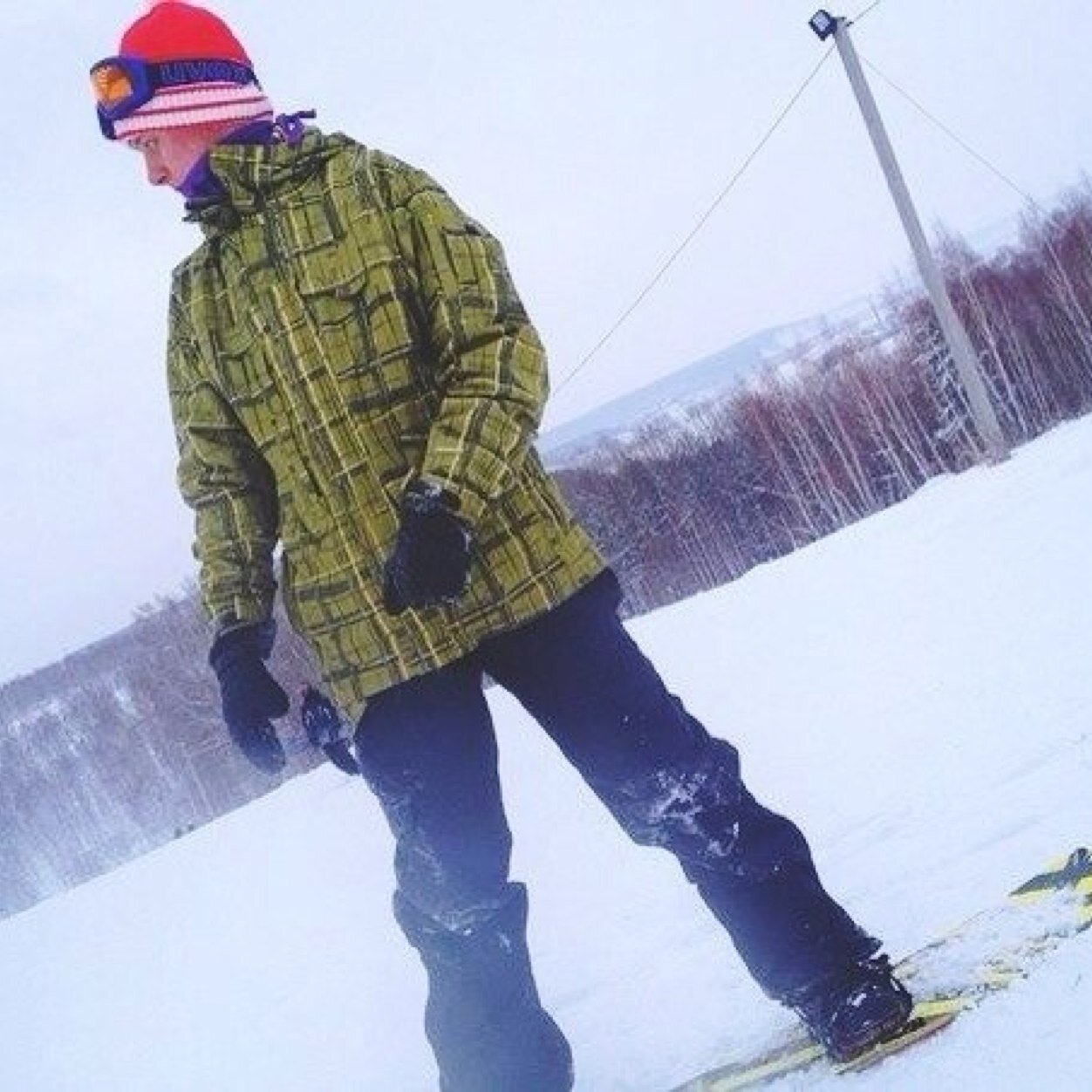 Treecreww's profile picture. 