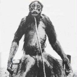 鋒山 芽殖孤虫症 寄生虫が無性生殖を繰り返し身体中に寄生して行く 末期には身体の至る部分に寄生虫が詰まった水泡ができて死ぬ 何の幼虫なのかも全くわからないため治療法もない Http T Co Jeqstxymbs