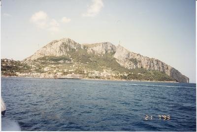 cirtmsrtehoplak's profile picture. 