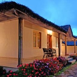We are best Travel agent/company offering tour packages . For any queries mail us on query@hillstationpackages.com