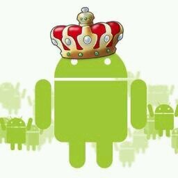 Welcome to the Android Kingdom. Where everything is based around android OS.