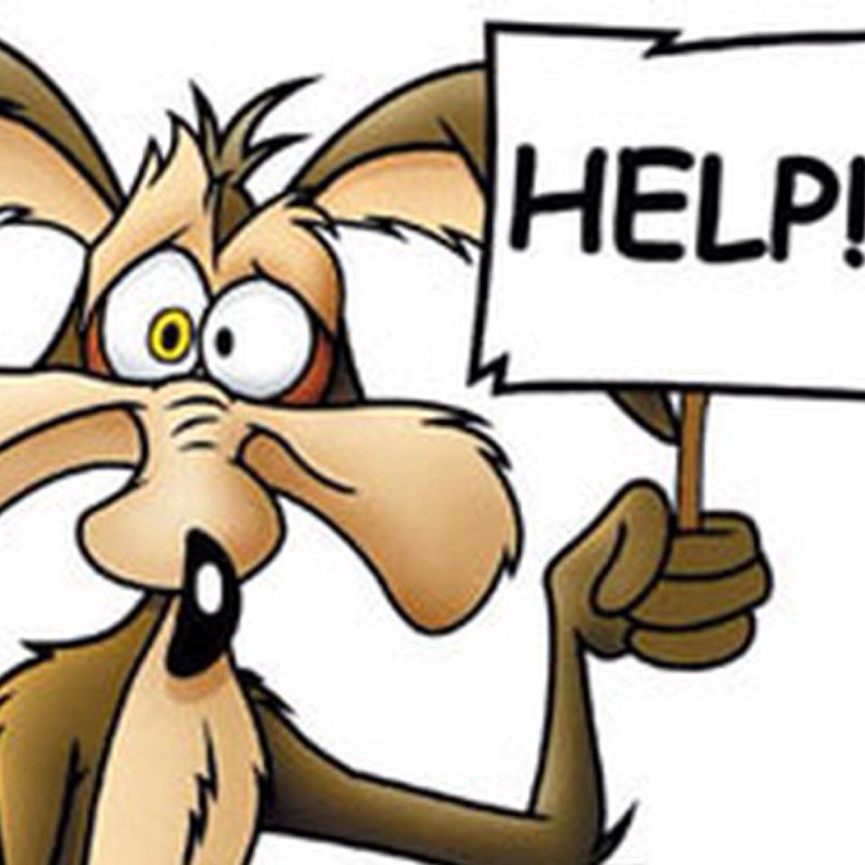 LMVAM02's profile picture. Hard working mother of a mad rugby fiend!