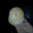 a22678446's profile image