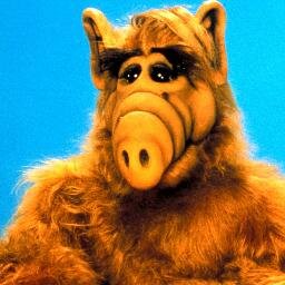 MightyAlf's profile picture. Зарабатываем пару копеек на откорм дворовых котят ))) #ВзаимныйФолловинг #ЧитаюВзаимно #follow #followback #rufollowback #rufollow #фолловинг