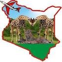 Kenya Jeep Safaris: Ringo Adventure Safaris a Kenyan based Tour Operator Proudly providing Kenya Safaris, Tanzania Safaris and holiday packages.  #kenyasafari