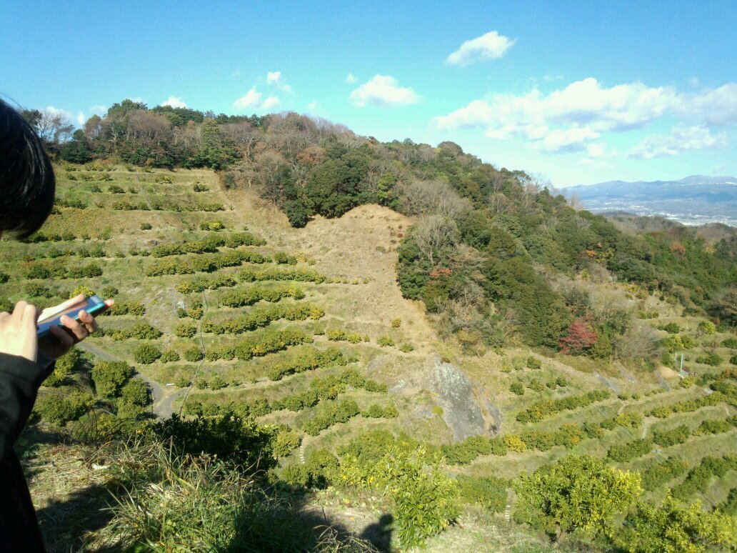 こんにちは