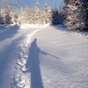 Ryan Hubley - @rrhubley - Twitter