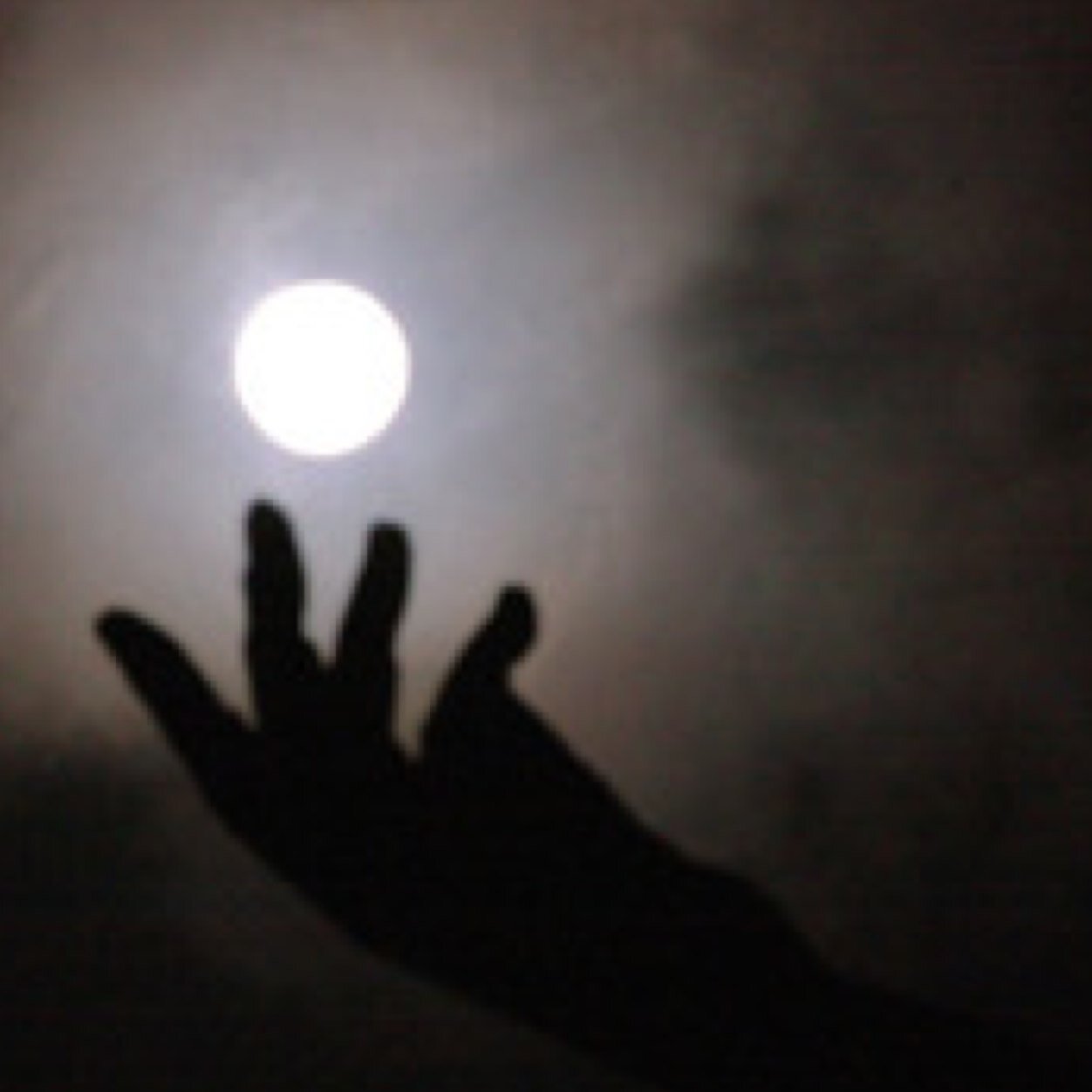 mtake0220's profile picture. 