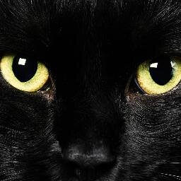 Sag_Hej's profile picture. SÄG HEJ(!) TILL EN TIGGARE