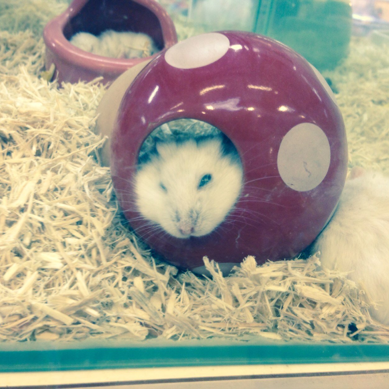 BluenoteCamel's profile picture. 