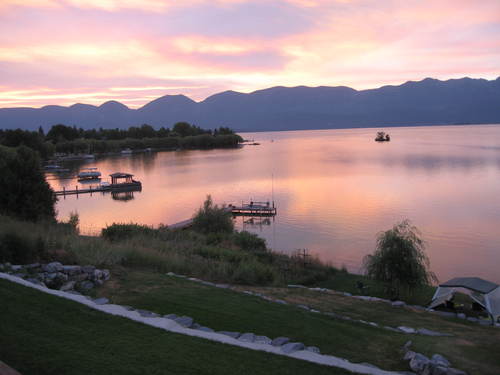 MimisTweets's profile picture. 