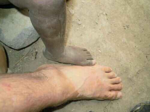 raslollo's profile picture. 