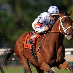 barna66's profile picture. Pénteken kezdődik a ló éve Kínában