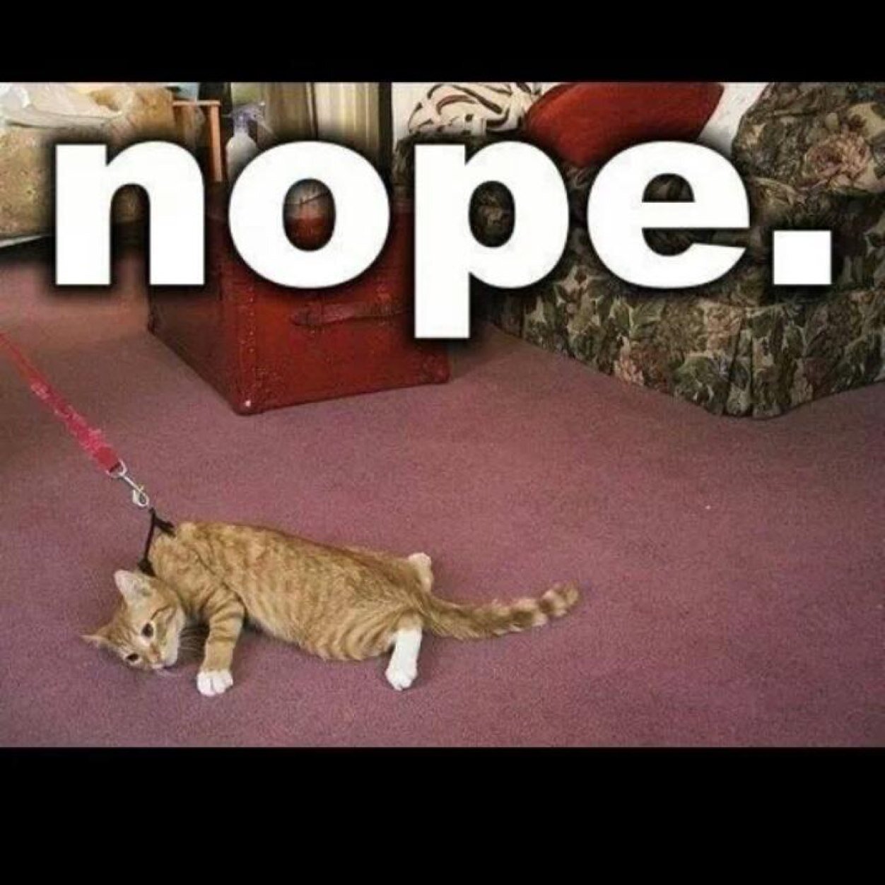 keepinsecrets15's profile picture. Made this account to hide my real feelings from friends. I dont know what im doing with myself. As much as I try it doesnt work..