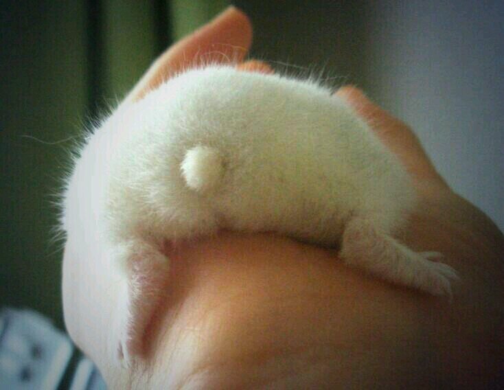 poor1233's profile picture. 映像制作に興味があって、大学では映像制作に携わる活動が出来たらよいな、と思っています。その筋の方はよければ絡んでください(*^^*)