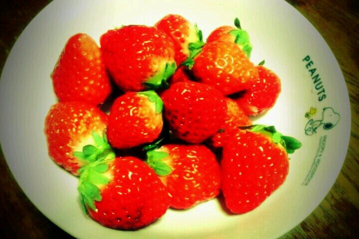 FTISLAND