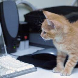 m4122412275's profile picture. エンジニア。相互フォロー歓迎。