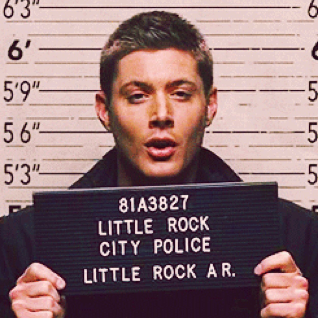 PieAndDemons's profile picture. Limit account for @PieandDeanily