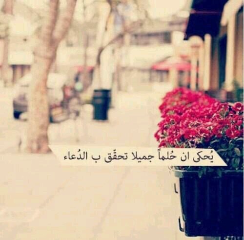 ‏‏‏‏‏‏‏‏‏‏‏‏‏‏‏‏‏‏‏‏‏‏‏‏《 حينما نتعامل بصفاء.. نجد السعاده.. 》