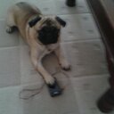 chris battle - @chrisbattle123 - Twitter